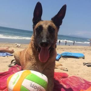 Meet your Posher, Kiki